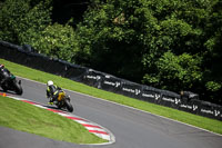 cadwell-no-limits-trackday;cadwell-park;cadwell-park-photographs;cadwell-trackday-photographs;enduro-digital-images;event-digital-images;eventdigitalimages;no-limits-trackdays;peter-wileman-photography;racing-digital-images;trackday-digital-images;trackday-photos